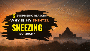 Why Is My Shih Tzu Sneezing So Much?